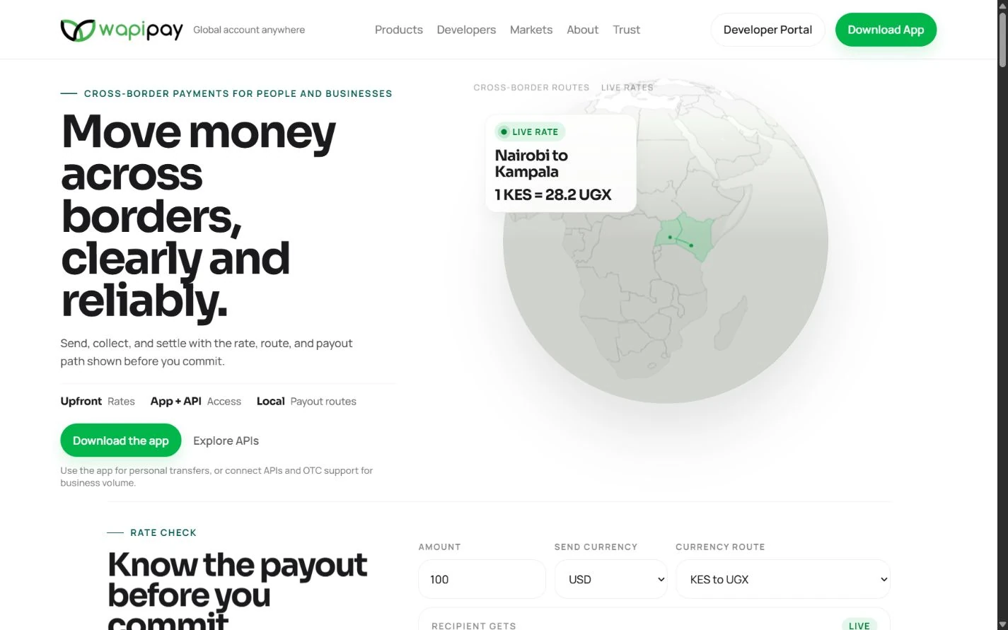 WapiPay website homepage showing its cross-border payments experience